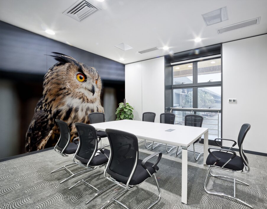Proud Eagle Owl Wall Printing