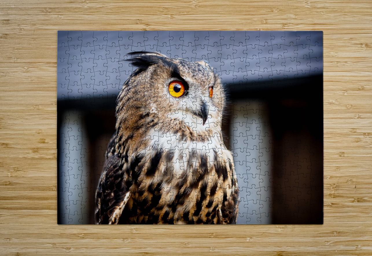 Proud Eagle Owl Josh Simpson Puzzle printing
