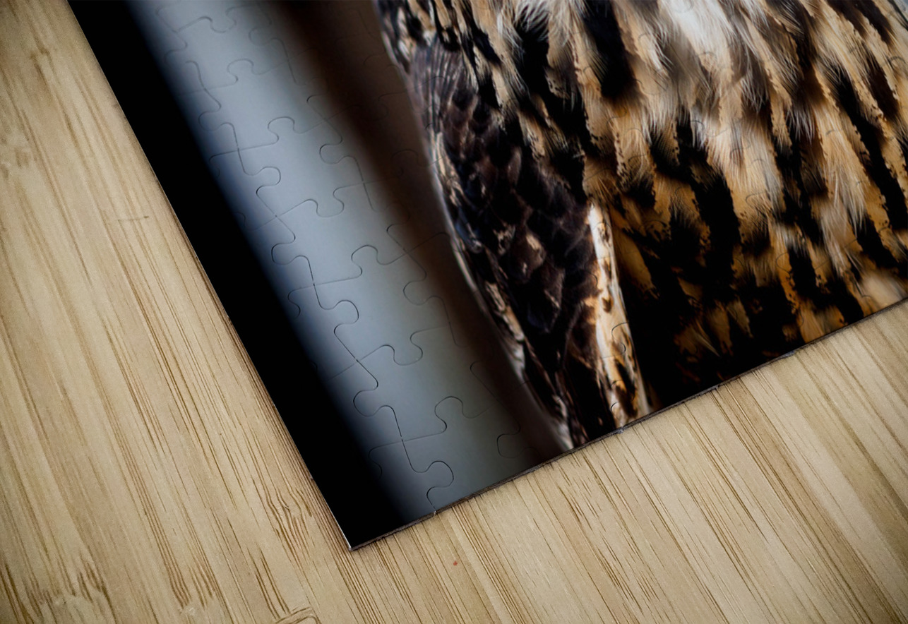 Proud Eagle Owl Josh Simpson Puzzle